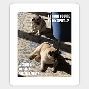 Pugs in the Sun Sticker